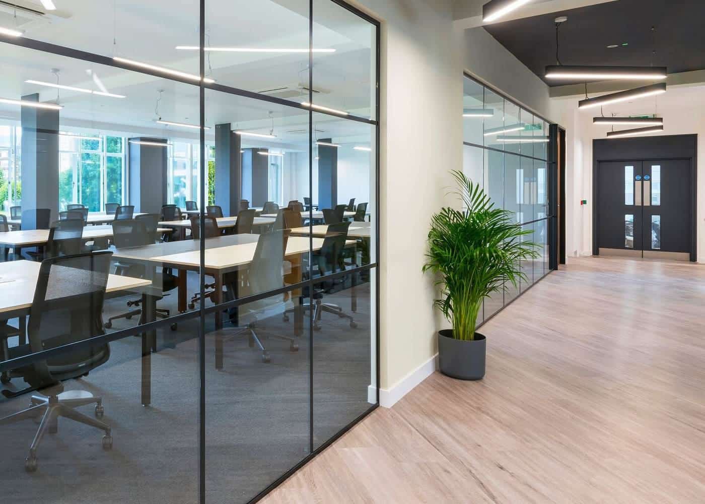 A bright modern office with desks, glass walls and a pot plant